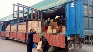 Quảng Ninh: Xuất nhập khẩu tăng trưởng mạnh đầu năm 2026 