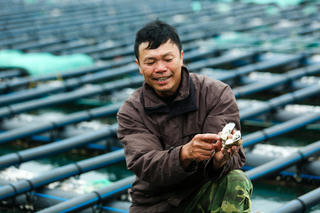 Một năm tăng trưởng ấn tượng của ngành thuỷ sản Quảng Ninh