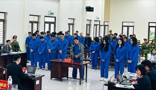 Xét xử 46 bị cáo trong đường dây lừa đảo tại Campuchia