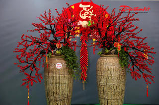 Đào đông đỏ giá hàng chục triệu đồng “lên ngôi” dịp Tết Bính Ngọ