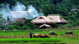 Tết này, khói bếp lại bay lên
