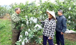 Nối dài nhịp cầu đoàn kết