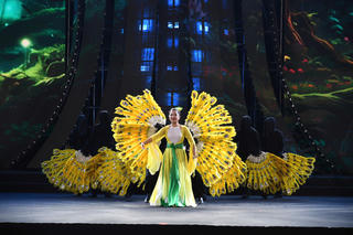 Độc đáo những màn trình diễn múa rối cạn tại Hội chợ Mùa Xuân 2026