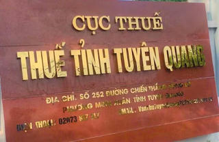 Hàng loạt doanh nghiệp ở Tuyên Quang nợ thuế “khủng”