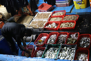 Biển Cửa Sót những ngày cận Tết