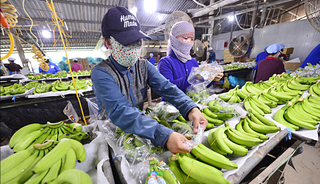 Tạm dừng Nghị định 46, doanh nghiệp vẫn chưa hết lo