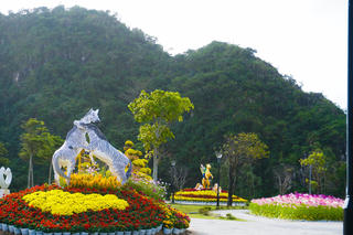 Đà Nẵng: Vườn hoa xuân danh thắng Ngũ Hành Sơn đón khách tham quan