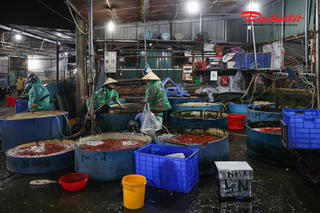 Chợ cá lớn nhất Hà Nội vắng vẻ trước ngày ông Công, ông Táo
