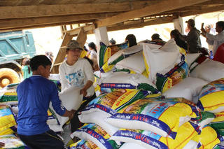 Đà Nẵng: Phân bổ hơn 1.300 tấn gạo hỗ trợ người dân dịp Tết và giáp hạt