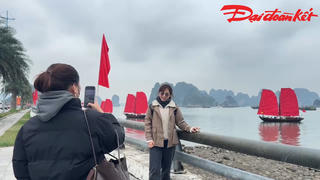 Thích thú trước hình ảnh thuyền buồm trên vịnh Hạ Long