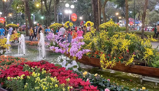 TP Hồ Chí Minh lần đầu tổ chức diễu hành ngựa quốc tế tại Hội hoa Xuân Tao Đàn 2026