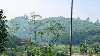 Tìm về chốn “Bầm ơi”