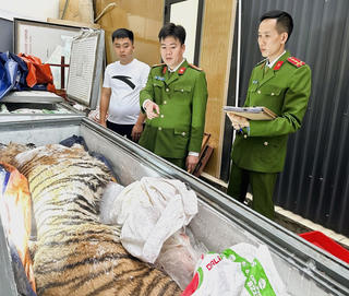 Thanh Hóa: Triệt phá đường dây mua bán, nấu cao hổ, bắt giữ 2 người liên quan