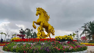 Hải Phòng: Rực rỡ trước thềm Xuân mới