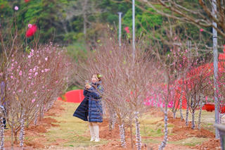 Mùng 1 Tết: Bắc Bộ đón không khí lạnh, Nam Bộ nắng ấm