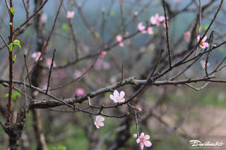 Thời tiết ngày mùng 2 Tết: Bắc Bộ trở lạnh, Nam Bộ ngày nắng