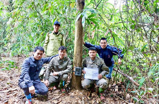 Những ‘đôi mắt’ giữa đại ngàn Vũ Quang