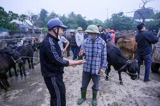 Mật ngữ buôn trâu bò ở vùng bán sơn địa Hà Tĩnh