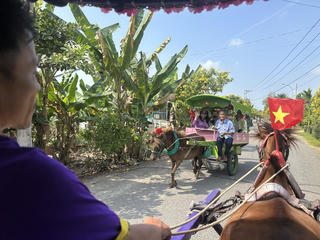 Đồng Tháp, Vĩnh Long bội thu khách du lịch dịp Tết