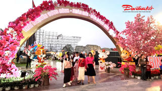 Rực rỡ sắc xuân giữa lòng Thái Nguyên