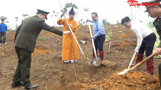 Quảng Ninh: Nỗ lực tăng tỷ lệ che phủ rừng, bảo tồn môi trường di sản thế giới