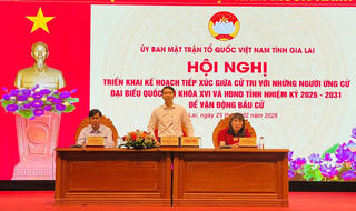 Gia Lai: 28 ứng cử viên đại biểu Quốc hội, 138 ứng cử viên HĐND tỉnh sắp tiếp xúc cử tri