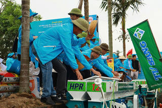 Triển khai mô hình  lúa phát thải thấp tại Ninh Bình