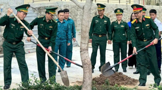 Khánh Hòa: Phát động ‘Tết trồng cây đời đời nhớ ơn Bác Hồ’ năm 2026