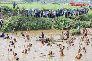 Hà Nội: Rộn ràng hội dập sào bắt cá trên sông Tích Giang đầu Xuân