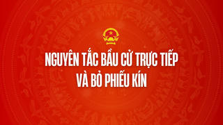 Infographic: Nguyên tắc bầu cử trực tiếp và bỏ phiếu kín