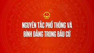 Infographic: Nguyên tắc phổ thông và bình đẳng trong bầu cử