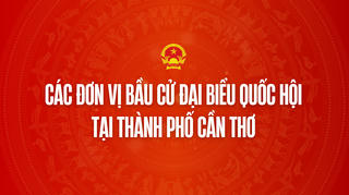 Infographic: Các đơn vị bầu cử đại biểu Quốc hội tại thành phố Cần Thơ