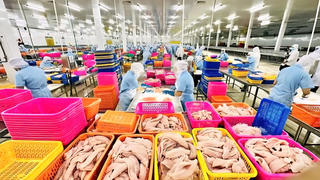 Hộ kinh doanh phải báo cơ quan thuế các tài khoản nhận tiền