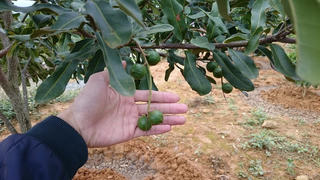 Thủ tướng: Cần biến núi rừng Tây Bắc trùng điệp thành của cải vật chất