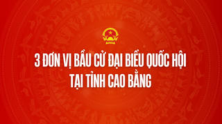 Infographic: 3 đơn vị bầu cử đại biểu Quốc hội tại tỉnh Cao Bằng 