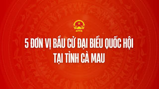 Infographic: 5 đơn vị bầu cử đại biểu Quốc hội tại tỉnh Cà Mau 