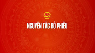 Infographic: Các nguyên tắc cử tri cần biết khi tham gia bỏ phiếu bầu cử