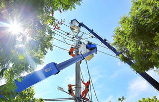 Đà Nẵng: Đảm bảo cung cấp điện phục vụ bầu cử