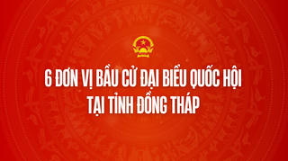 Infographic: 6 đơn vị bầu cử đại biểu Quốc hội tại tỉnh Đồng Tháp