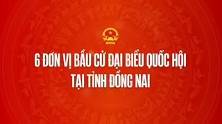 Infographic: 6 đơn vị bầu cử đại biểu Quốc hội tại tỉnh Đồng Nai