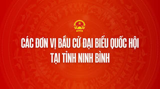 Infographic: Các đơn vị bầu cử đại biểu Quốc hội tại tỉnh Ninh Bình