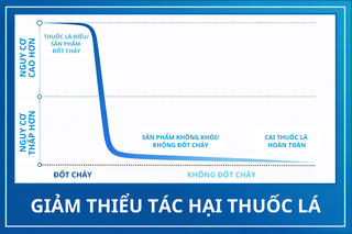 Bộ Y tế Pháp công bố dữ liệu nghiên cứu mới về các sản phẩm thuốc lá không khói