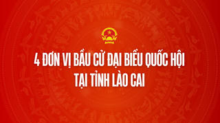 Infographic: 4 đơn vị bầu cử đại biểu Quốc hội tại tỉnh Lào Cai