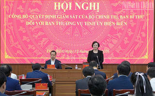 Công bố Quyết định kiểm tra, giám sát của Bộ Chính trị, Ban Bí thư đối với Ban Thường vụ Tỉnh ủy Điện Biên