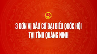 Infographic: 3 đơn vị bầu cử đại biểu Quốc hội tại tỉnh Quảng Ninh