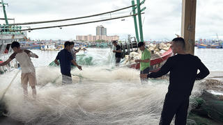 Đà Nẵng: Cảng cá Thọ Quang đón ngư dân trở về dự ngày hội non sông
