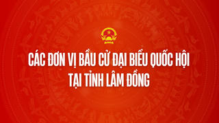 Infographic: Các đơn vị bầu cử đại biểu Quốc hội tại tỉnh Lâm Đồng