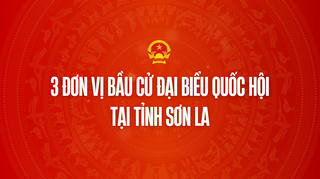 Infographic: 3 đơn vị bầu cử đại biểu Quốc hội tại tỉnh Sơn La