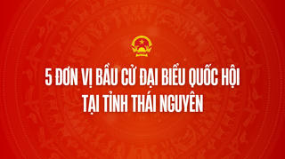 Infographic: 5 đơn vị bầu cử đại biểu Quốc hội tại tỉnh Thái Nguyên