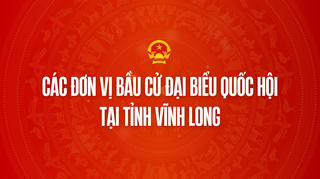 Infographic: Các đơn vị bầu cử đại biểu Quốc hội tại tỉnh Vĩnh Long